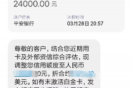 瑞安为什么选择专业追讨公司来处理您的债务纠纷？